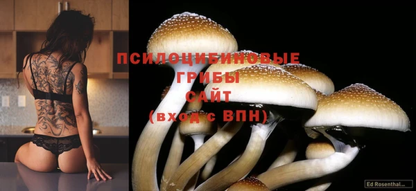 мдпв Алзамай