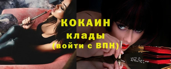 PSILOCYBIN Рославль