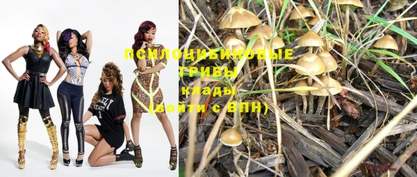 PSILOCYBIN Рославль