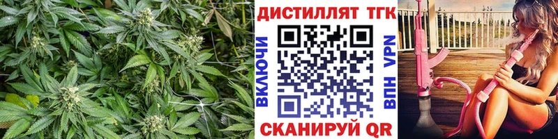 как найти закладки  Анадырь  omg ССЫЛКА  Дистиллят ТГК THC oil 